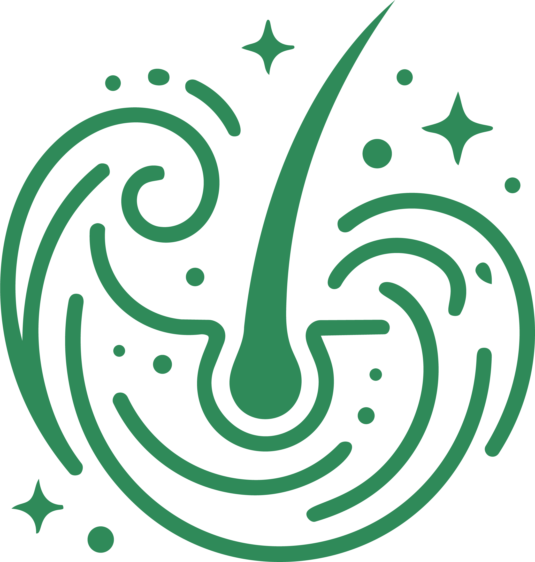 Reset scalp icon