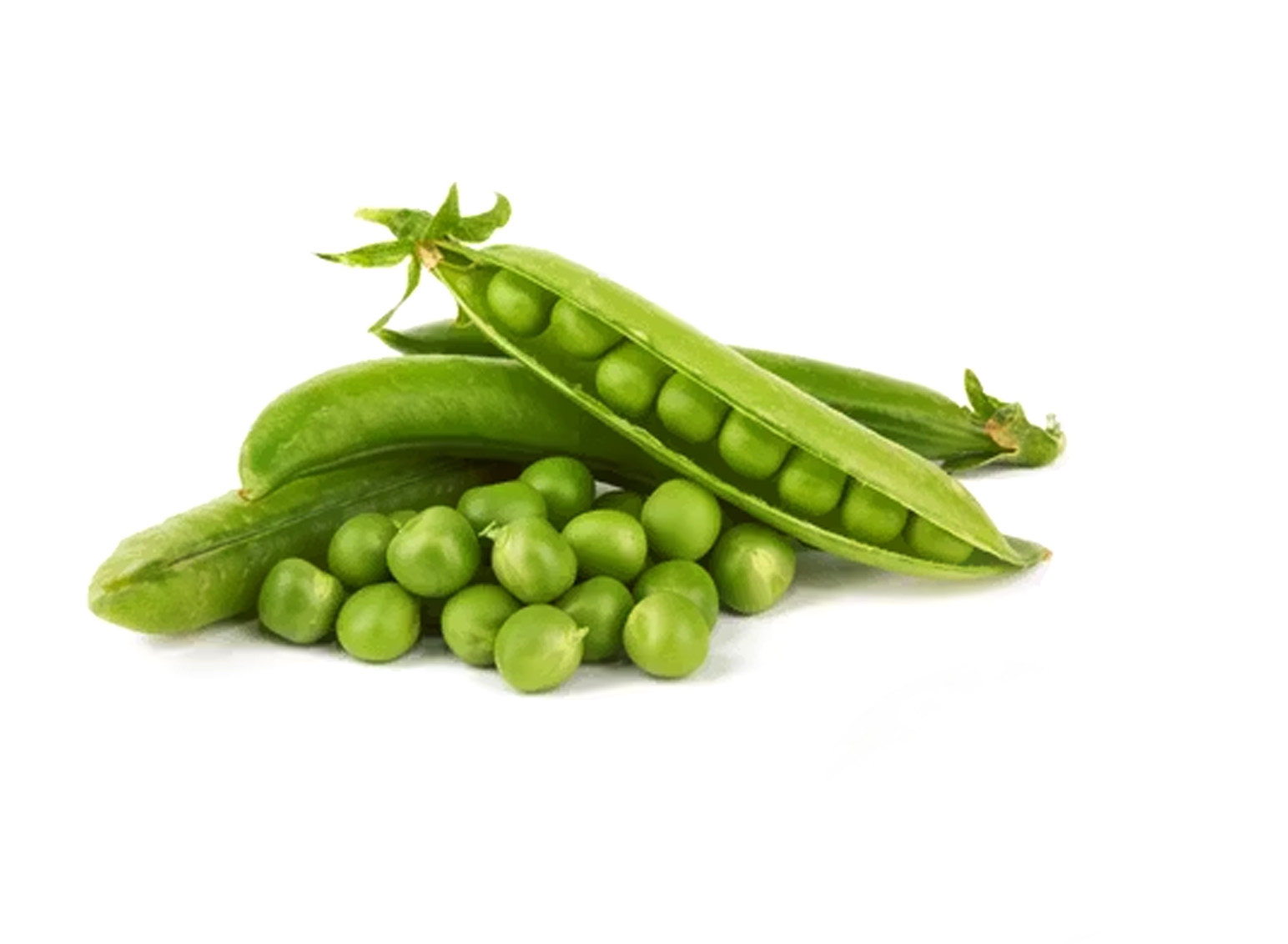 Pisum Sativum Pea Extract